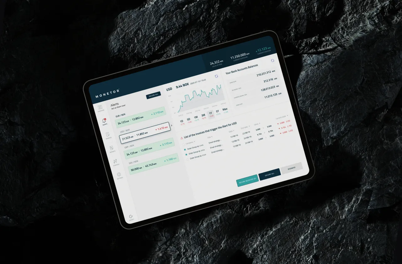 Monetor - A Web Application for Analysing Business FX Risk
