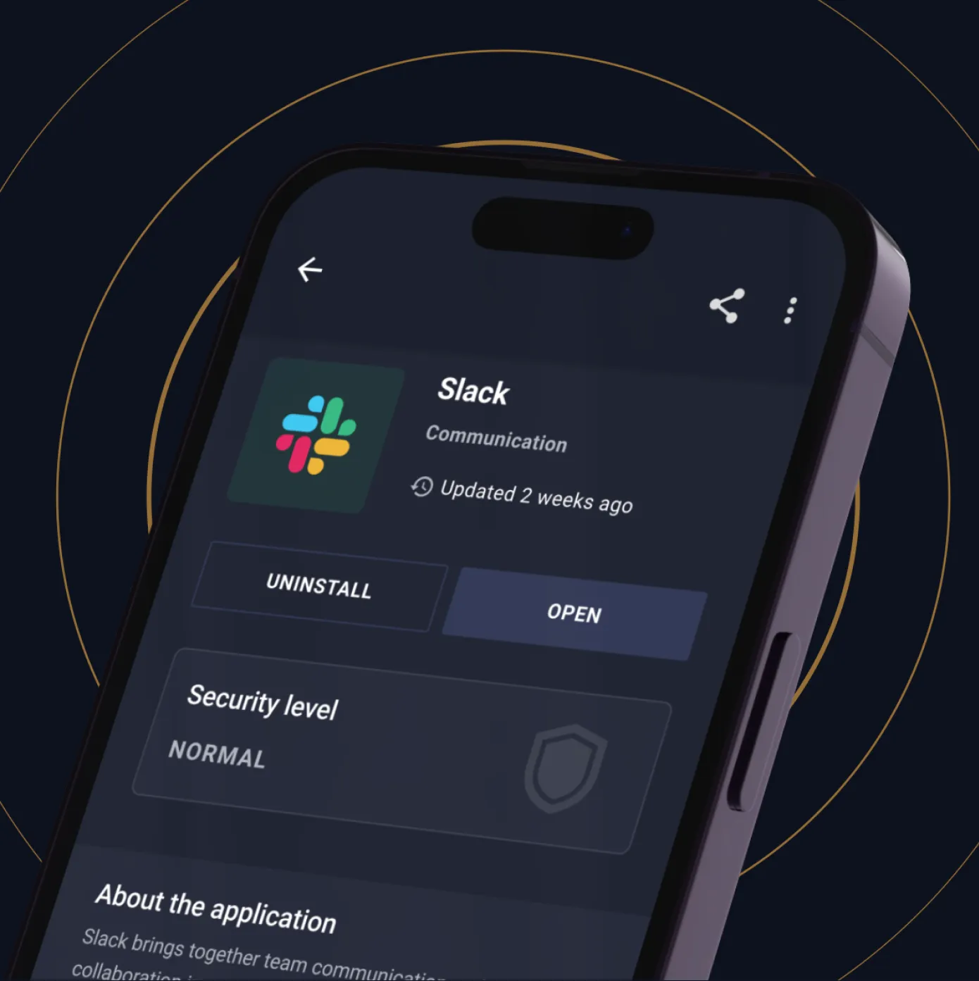 RAW Cyber mobile app showing the security level of an installed application