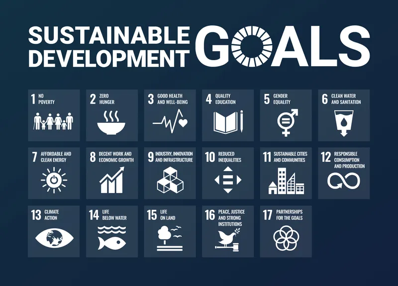 The 17 United Nations Sustainable Development Goals icons