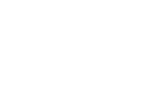 Lightning bolt icon representing performance