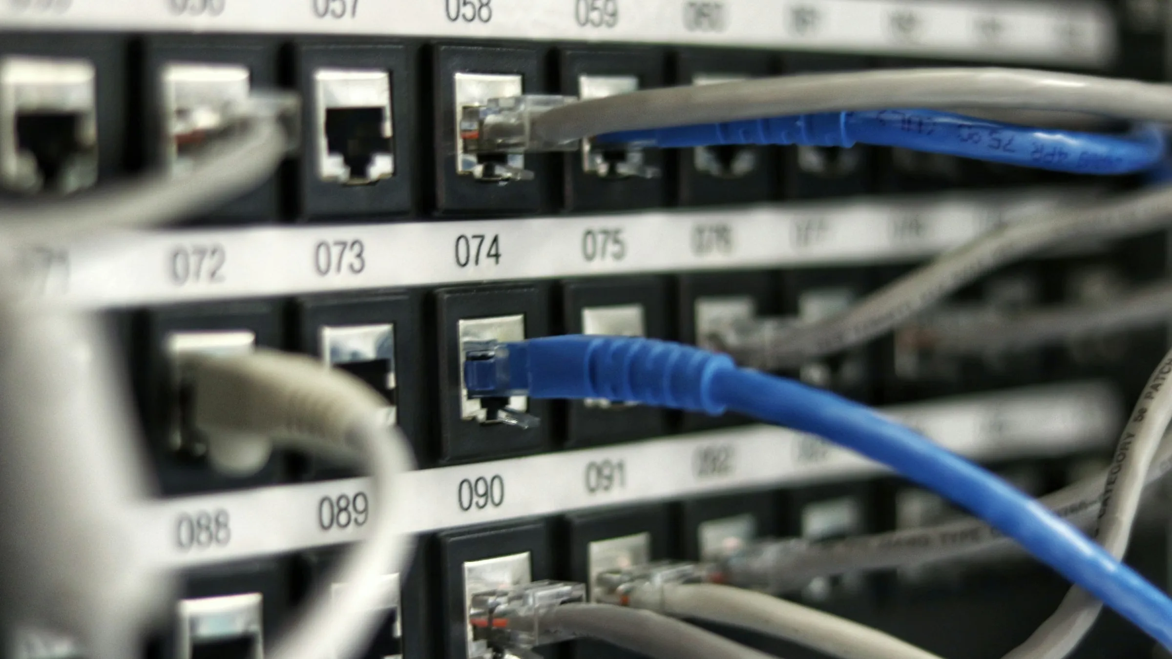 Panel krosowy z niebieskimi i szarymi kablami Ethernet w szafie serwerowej