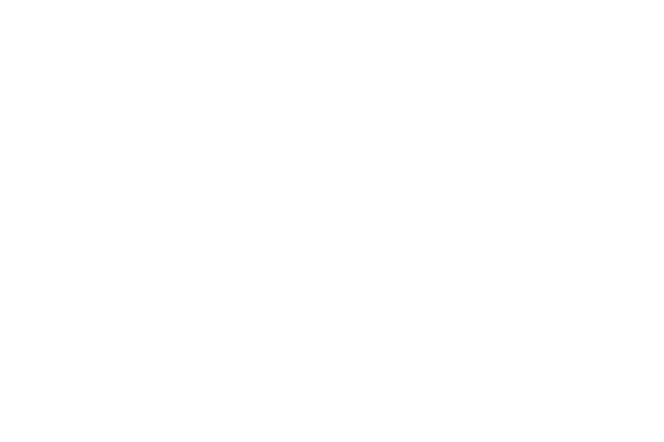 Shield icon representing security and reliability
