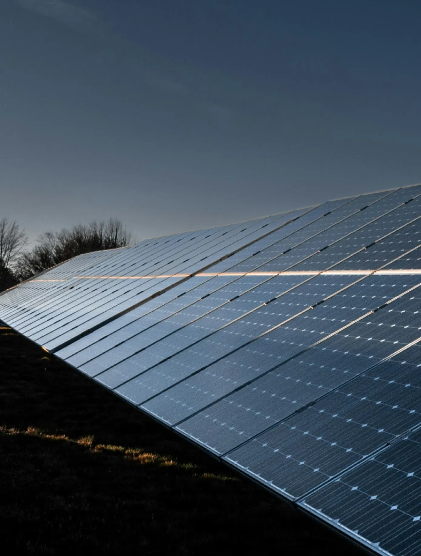 Rows of ground-mounted solar panels at dusk, with bare trees in the background.
